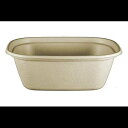 World Centric - CT-SC-U3 100% Compostable to-Go Boxes by , Made from Unbleached Plant Fiber, Great for Takeout, 8.8" x 6.8" x 3", 48 oz, (Pack of 400)