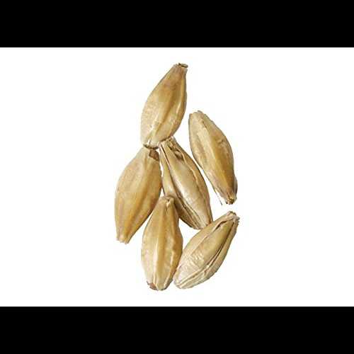 モルト - ドイツのミュンヘン - 10 ポンド Brewmaster Malt - German Munich - 10 lb モルト - ドイツのミュンヘン - 10 ポンド Brewmaster Malt - German Munich - 10 lb