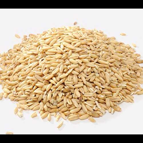 դХʪ - 49.896ݥ Dylmine Health OAT GROATS HULLED- 49.896lb