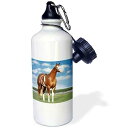 3dRose Champion t Quarter Horse Sports Water Bottle, 21 oz, White