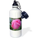 3dRose "Pink Rose Floral III" Sports Water Bottle, 21 oz, White