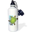 3dRose Illustration with Sea Turtle Sports Water Bottle, 21 oz, White
