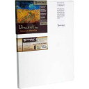 マスターピース アーティスト キャンバス 41083 Vincent PRO 深さ 7/8 インチ、15 インチ x 24 インチ、コットン 10.5 オンス ...