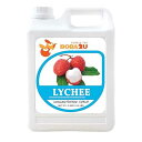 BOBA2U 濃縮シロップ ライチ 5.5 ポンド BOBA2U CONCENTRATED SYRUP LYCHEE 5.5 LBS(4)