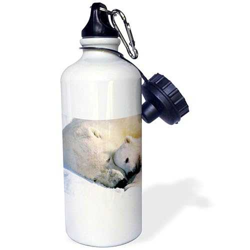 3dRose Polar Bear and Cub Sports Water Bottle, 21 oz, White