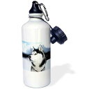 3dRose Siberian Husky Sports Water Bottle, 21 oz, White
