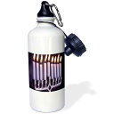 3dRose Guinea Pig Christmas Sports Water Bottle, 21 oz, White