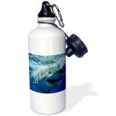 3dRose Great White Shark - Sports Water Bottle, 21 oz, White