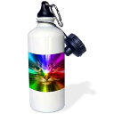 3dRose Domestic Cat Surrounded with a Rainbow of Colors Sports Water Bottle, 21 oz, Brown