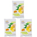 Melting Sweet Premium Hard Candy, Individually Wrapped (Ginger, 4.4oz, Pack of 3...