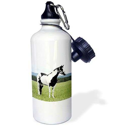 3dRose t Horse Sports Water Bottle, 21 oz, White