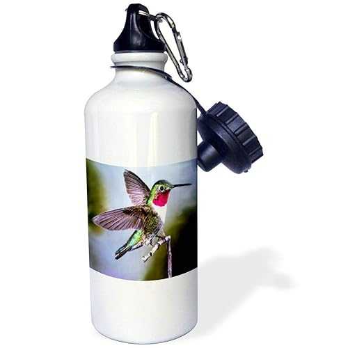 3dRose Hummingbird, Bird Sports Water Bottle, 21 oz, White 3dRose Hummingbird, Bird Sports Water Bottle, 21 oz, White