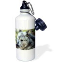 3dRose Wolf Sports Water Bottle, 21 oz, Brown