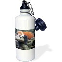 3dRose Adorable Red Panda, Sichuan Province, China Sports Water Bottle, 21 oz, W...