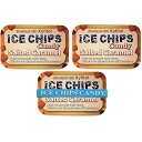 ICE CHIPS Xylitol Candy Tins 5.28 oz total (Salted Caramel, 3 Pack) - Includes B...