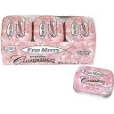 SCRIPTURE CANDY Reaching The World One Piece At A Scripture Candy, Sugar Free Fish Shaped Cinnamon Flavored Mints in a Pocket Sized Tin, 9 Count