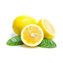 OLIVENATION Lemon Extract - Pure and Terpeneless - Tart Lemony Flavor for Cakes - Cookies - Icing - Filling - Terpeneless - PG Free - Non-GMO - Gluten Free - Kosher - Vegan - 4 ounces