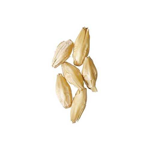 Brewmaster-GR300E Malt - 2-Row Pale - 5 lb