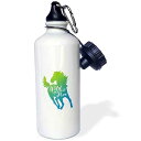 3dRose Wild and Free Running Horse Design in Green and Blue Water Bottle