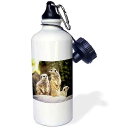 3dRose ウォーターボトル、21オンス、ホワイト 3dRose Water Bottle, 21oz, White