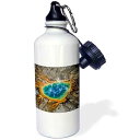 3dRose Grand Prismatic Spring, thermal features in Yellowstone NP, Wyoming. -Spo...