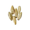 モルト - ビクトリー - 1ポンド Brewmaster Malt - Victory - 1 lb