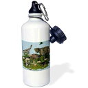 3dRose Zoo Animals Fun Art-Sports Water Bottle, 21oz , 21 oz, Multicolored