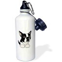 3dRose Cute Boston Terrier Puppy Dog Original-Sports Water Bottle, 21oz , 21 oz,...