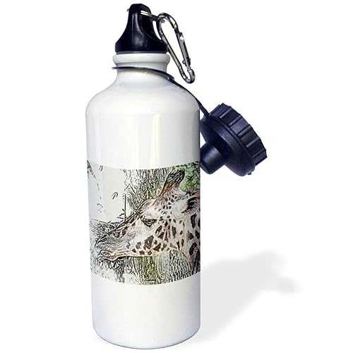 3dRose Giraffe Colored Pencil Style Animal Jungle Sketch-Sports Water Bottle, 21oz , 21 oz, Multicolor