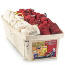 Espeez Old Fashioned Bubble Gum Candy: Fruit Flavor Chewing Gum in Individual Drawstring Bags - Assorted Bulk Candy Packs for Parties and Special Events - 6 Giant Gold Mine Bags and 24 Small Coal Mine Bags