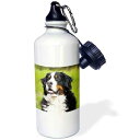 3dRose Bernese Mountain Dog Sports Water Bottle, 21 oz, White