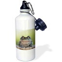 3dRose Sonoran Desert Toad, Bufo Alvarius Sports Water Bottle, 21 oz, White