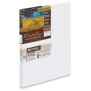 Masterpiece Artist Canvas 42022 Vincent PRO 7/8