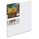 Masterpiece Artist Canvas 42029 Vincent PRO 7/8