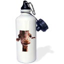3dRose Really Cute Giraffe Face Sports Water Bottle, 21 oz, White