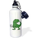 3dRose Trex Dinosaur Straw Water Bottle