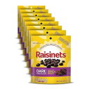 Raisinets, Dark Chocolate Covered California Raisins, 8.0 oz Resealable Bag, Bul...