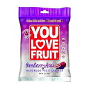 You Love Fruit オーガニックフルーツレザー、ポンベリー/アサイー、1オンス (12個パック) You Love Fruit Organic Fruit Leather, Pomberry/Acai, 1 Ounce (Pack of 12)