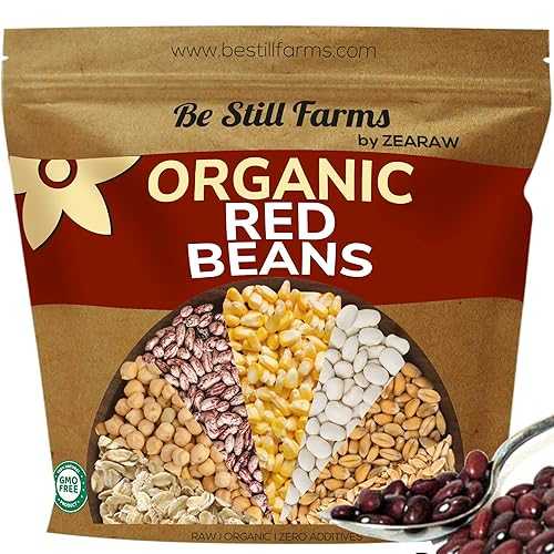 Be Still Farms Organic Red Kidney Beans Dry (4.8lb) - Dried Small Red Beans Bulk - Great for Soups, Stews, Salads - High in Protein & Fiber USA Grown USDA Certified Vegan Non-GMO Gluten Free