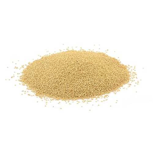 PRIMAL HARVEST Organic Whole Grain Amaranth Grain Seeds non-GMO RAW non-GMO Vegan Bulk (3LB) PRIMAL HARVEST Organic Whole Grain Amaranth Grain Seeds non-GMO RAW non-GMO Vegan Bulk (3LB)