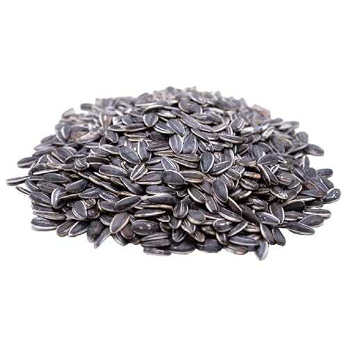 GERBS Raw Whole Sunflower Seeds 2 LBS. Resealable Bag Top 14 Allergy F...