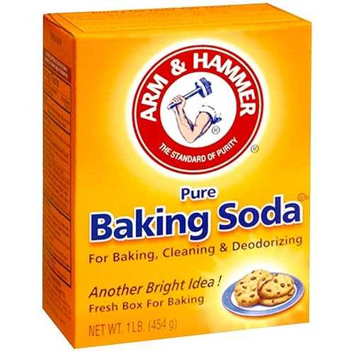 アーム&ハンマー ベーキングソーダ - 16オンス Arm & Hammer Baking Soda - 16 oz