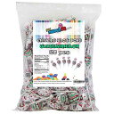 チャームブローポップ スイカポップ 60個入 Charm Blow Pops, Watermelon Pops, Pack of 60