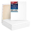 U.S. Art Supply 20 x 24 inch Stretched Canvas 12-Ounce Triple Primed, 6-Pack - P...