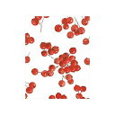 Caspari Berry Gathering ギフト封入カード、封筒付き 20 枚 Caspari Berry Gathering Gift Enclosur...