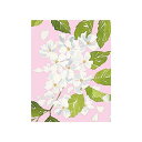 Caspari Blanc De Blancs Gift Enclosure Cards - 20 with Envelopes