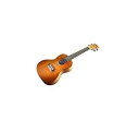 Kala KA-CEM エキゾチック マホガニー コンサート ウクレレ Kala KA-CEM Exotic Mahogany Concert Ukulele