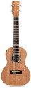Cordoba 15CM Concert Ukulele - Hand Crafted With Mahogany Top, Back & Sides, Authentic Abalone Rosette & Satin Finish & Premium Italian Aquila Strings - For Beginners & Professionals