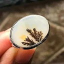 天然希少風光明媚な樹枝状瑪瑙 925 ソリッド スターリング シルバー リング サイズ 6.75 Natural Rocks by Kala Natural Rare Scenic Dendritic Agate 925 Solid Sterling Silver Ring sz 6.75