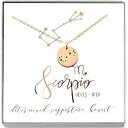 蠍座星座 14K ゴールドフィルド ブロンズ 占星術 星座 ホロスコープ ネックレス - 彼女へのギフト LoveItPersonalized Scorpio ...